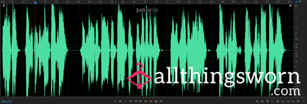 Custom Audio Clip 🔊