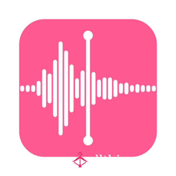 Custom Audio Voicenote 🤫