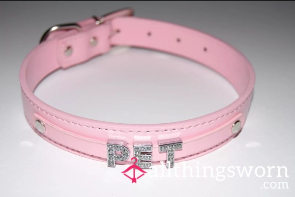 Custom Leather Dog Collar