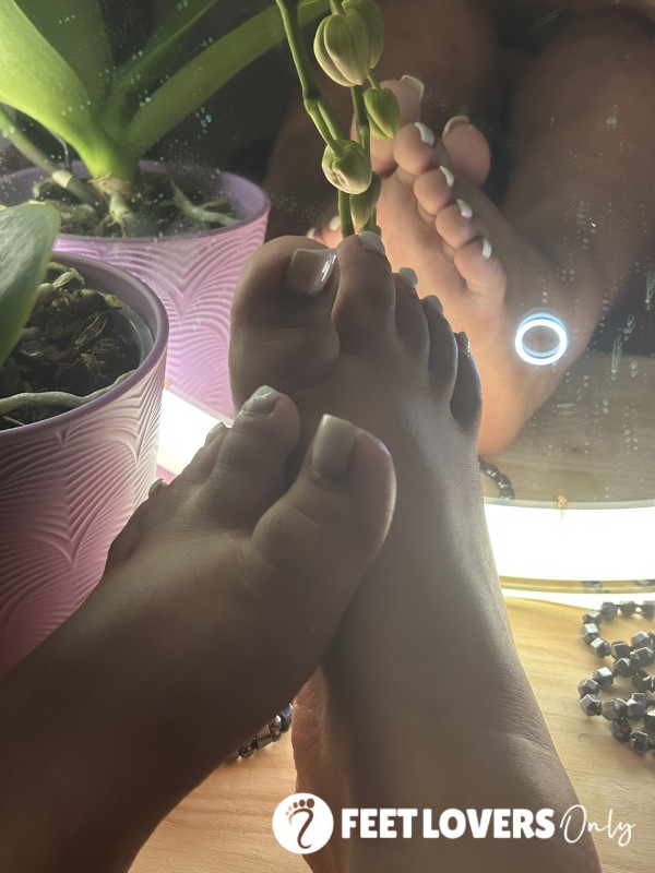 Custom Pics