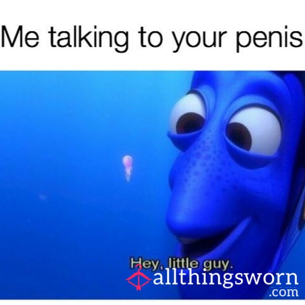 Custom SPH Tease | Sweetly Cruel Humiliation For Your Tiny C*ck