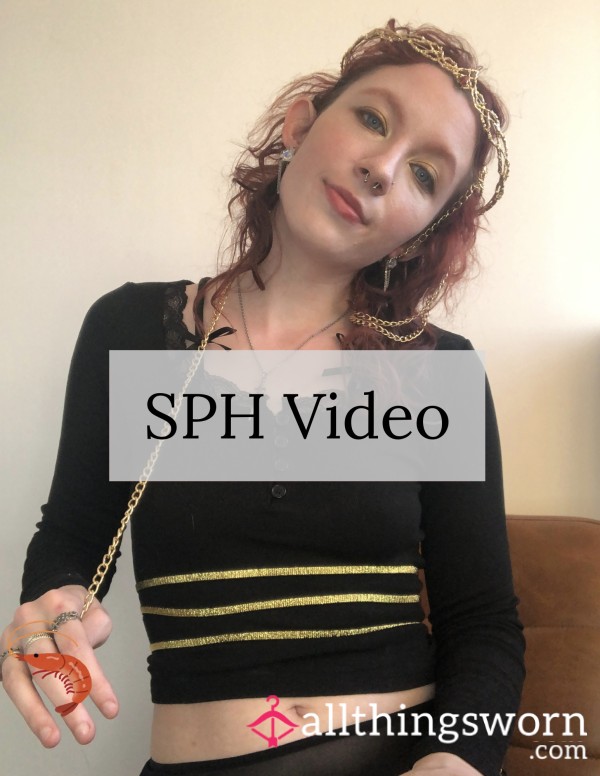 Custom SPH Video 🔎🍤 - Show Me Your Shrimp