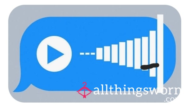 Custom Voicenotes