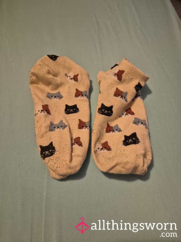 Cute Cat Socks
