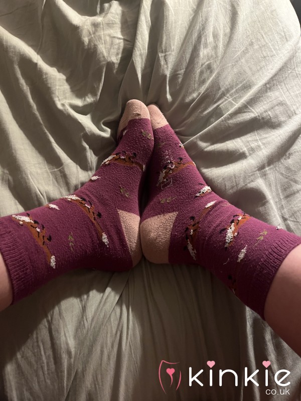 Cute Fun Animal Socks With Foxes