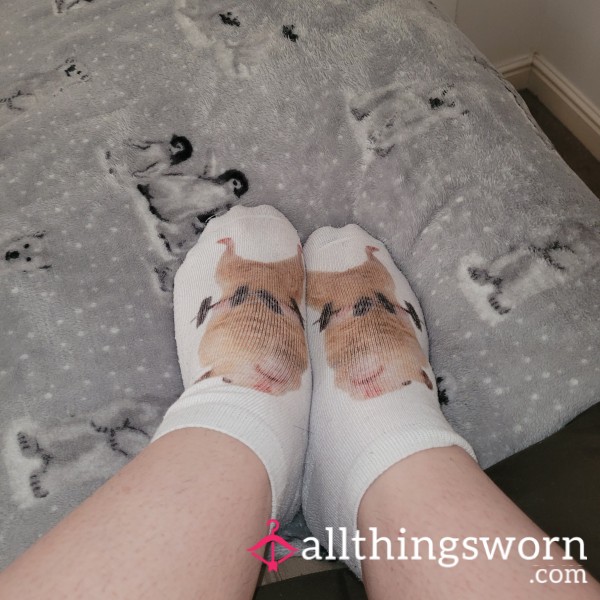 Cute Hamster Trainer Socks