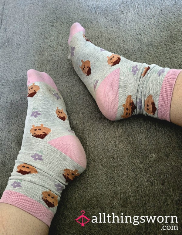 Cute Well-Worn Highland Cow Size 5 Ankle Socks