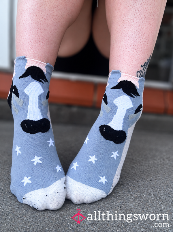 🐴 Cute, Horse Socks 🐴