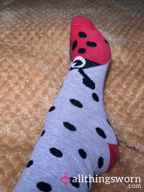 Cute Ladybird Socks 🐞