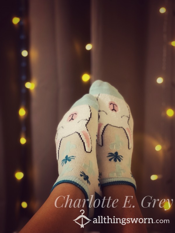 Cute Little Llama Socks