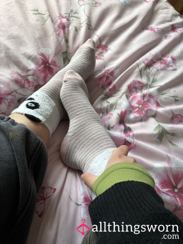 Cute Little Panda Socks🙈48 Hours Worn