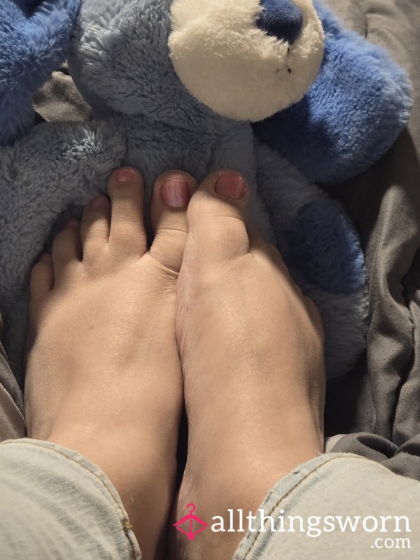 Cute Little Piggies