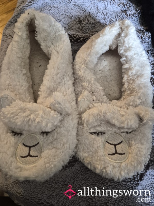 Cute Little  Slippers
