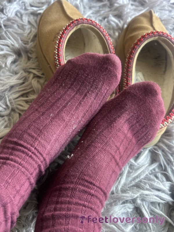 Cute Pair Of Socks