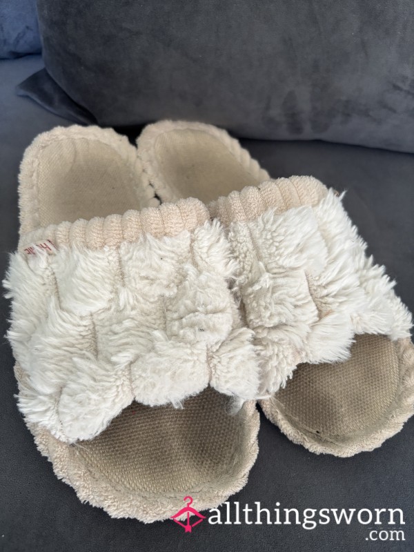 Cute Skinky Slippers