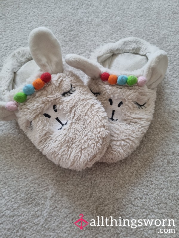 Cute Slippers