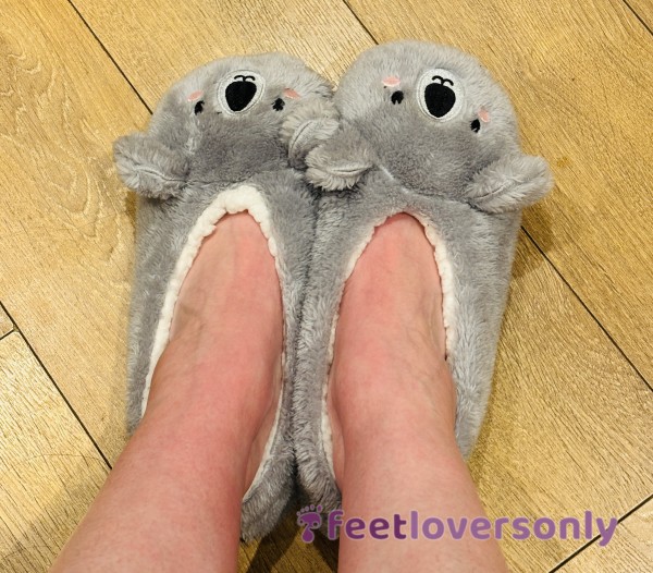 Cute Slippers 🐨