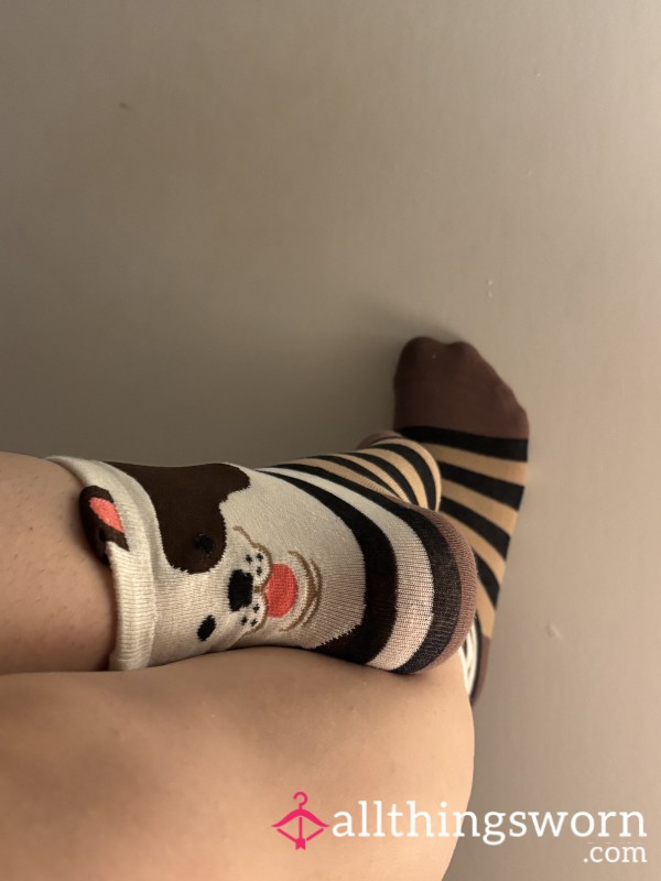 Cute Smelly Dog Socks!