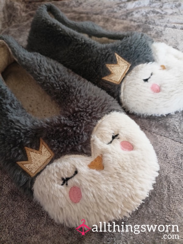 Cute Soft Slippers Well Worn