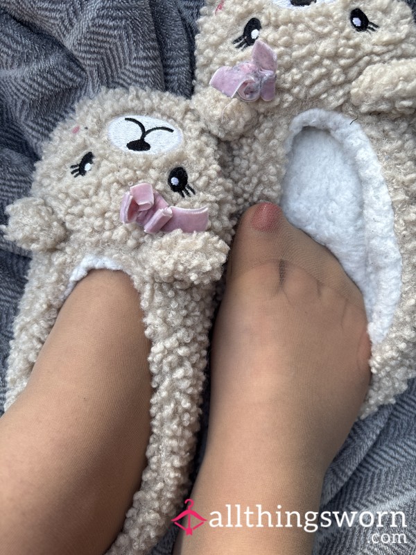 Cute Well Worn Teddy Slippers