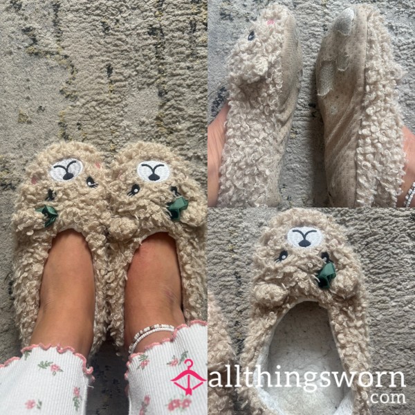 Cute Wooly Slippers Well Worn