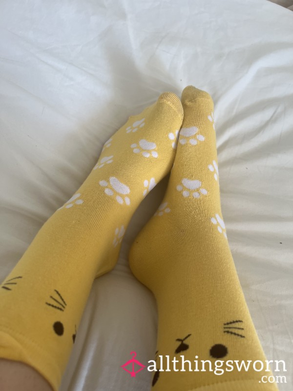 Cutesy Yellow Cat Socks