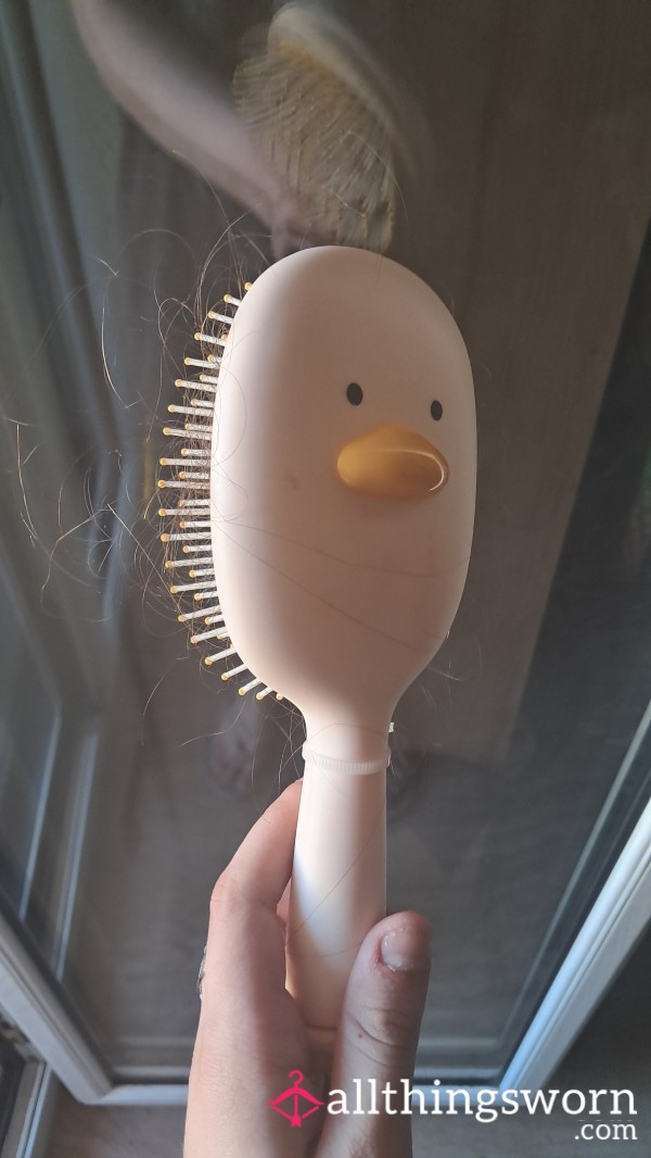 Cutsie Duck Hairbrush 🐤🐤with Hair On It