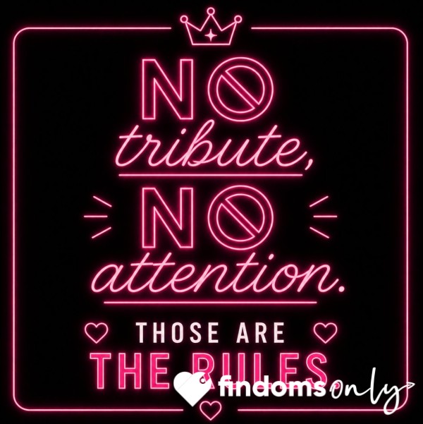 Daily Tributes