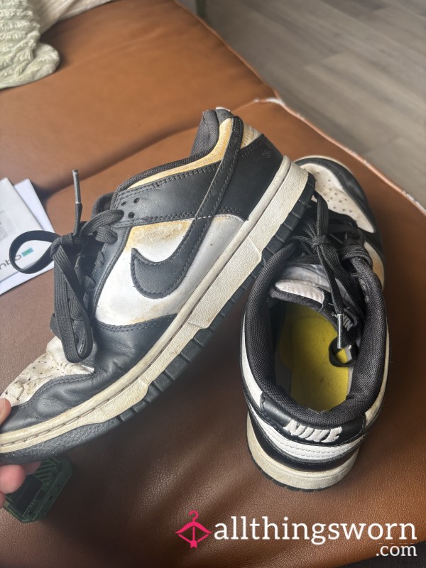 Daily Use NIKE DUNKS