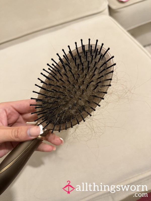 Daily Used Hair Brush With Hair