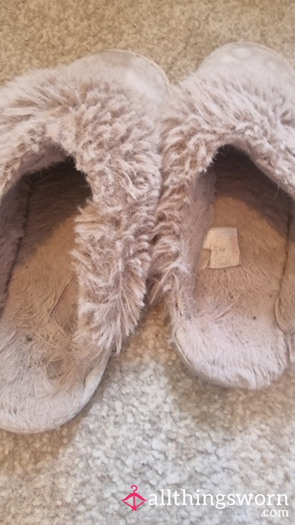 Daily Wear Slippers