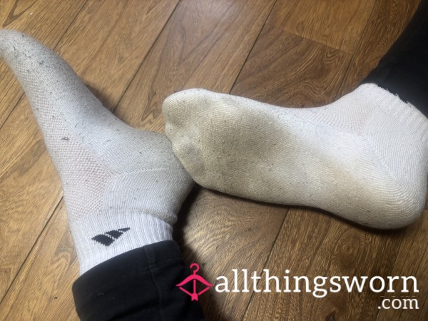 Daily Wear Socks