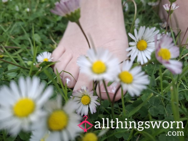 Daisys - Bare Feet