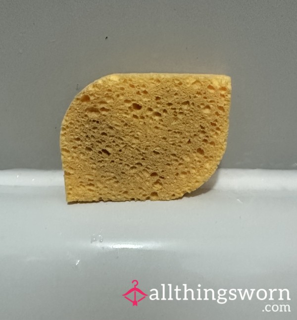 Damp Face Sponge