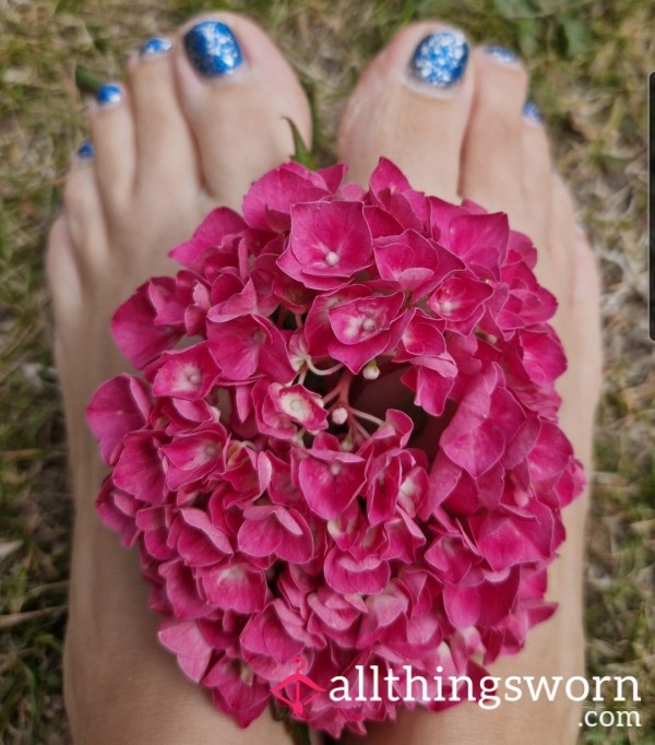 Dancer And Fitness Instructor Feet Picures