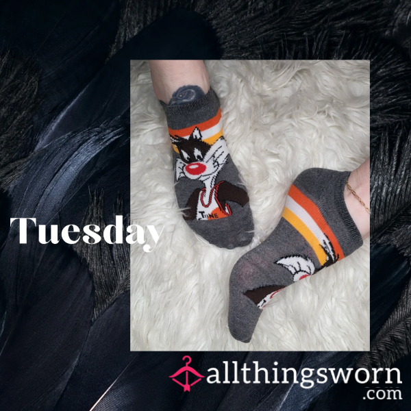 Dark Grey Sylvester Space Jam Ankle Socks #14