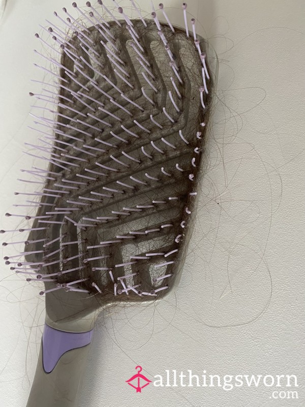 Dark Hair Filled Brush