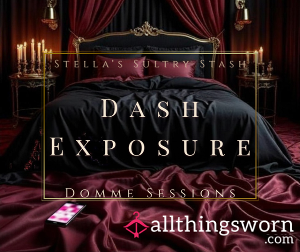 Dash Exposure With Stella