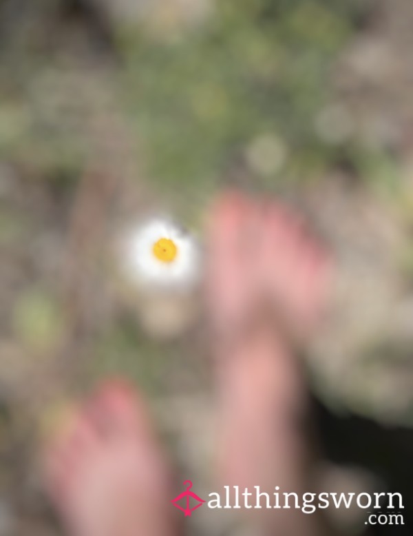 Day Six, 🌼 Cute Feet
