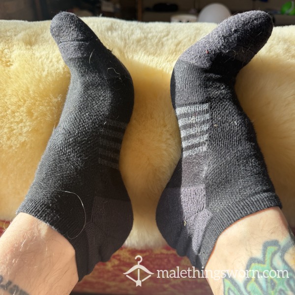 Day Worn Black Amazon Basics Ankle Socks