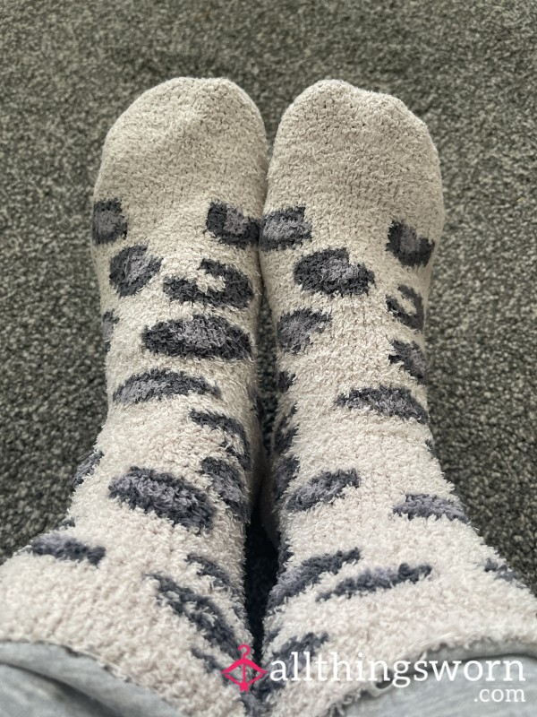 Day Worn Socks