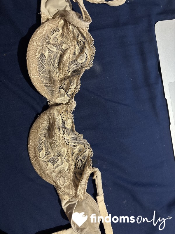 Delicate 34B Lace – Lightly Scented & Loved