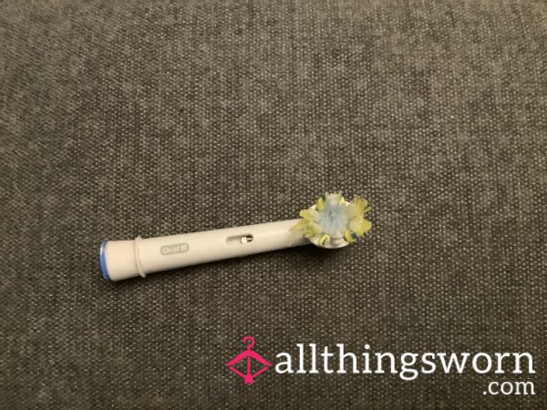 Demolished Electric Toothbrush Head