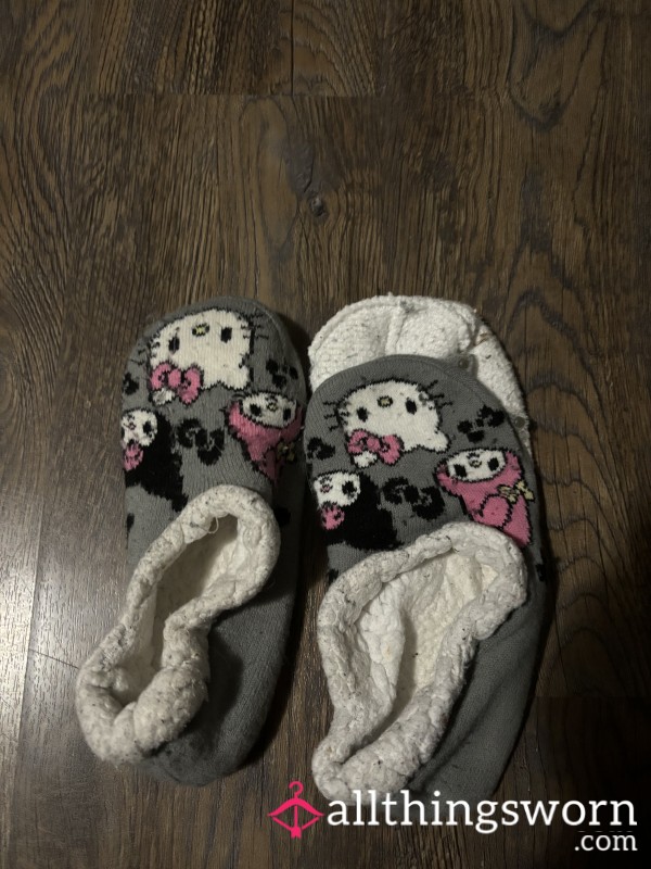 Destroyed Smelly Slippers