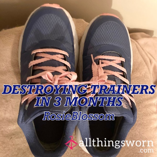 Destroying Trainers In 3 Months