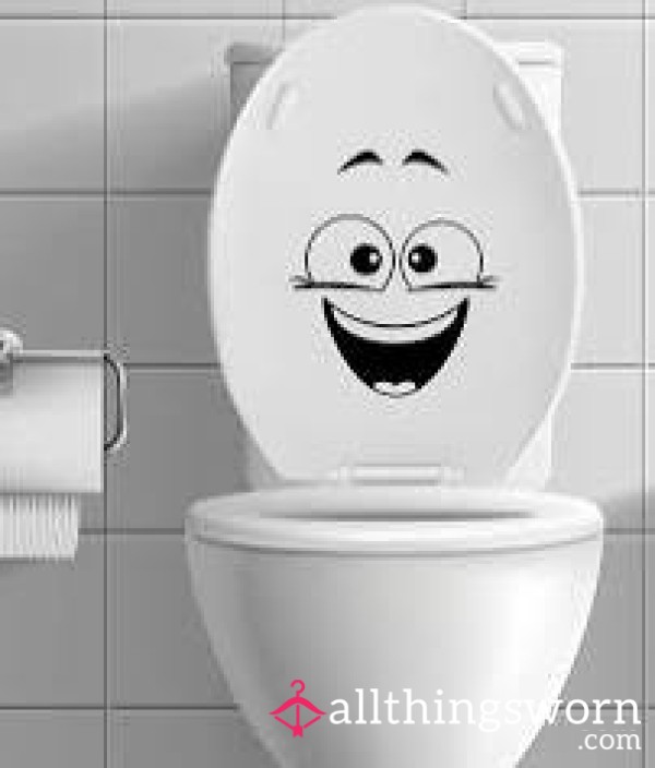 🚽🚽🚽 Diary While At Work