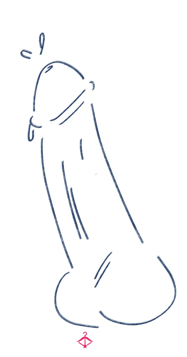 D*ck Drawings (sketch, See Add Ons For More)
