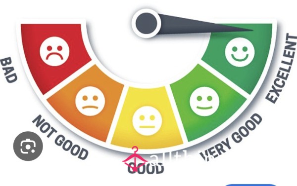 Solo D*ck Rating