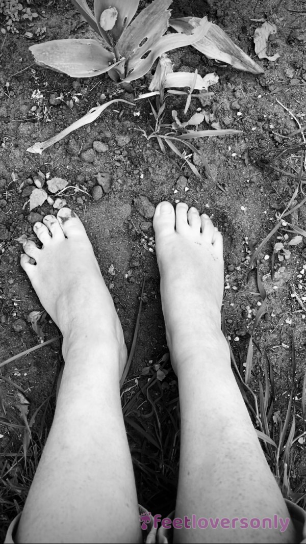 Digging In The Dirt With My Freshly Clean Toes