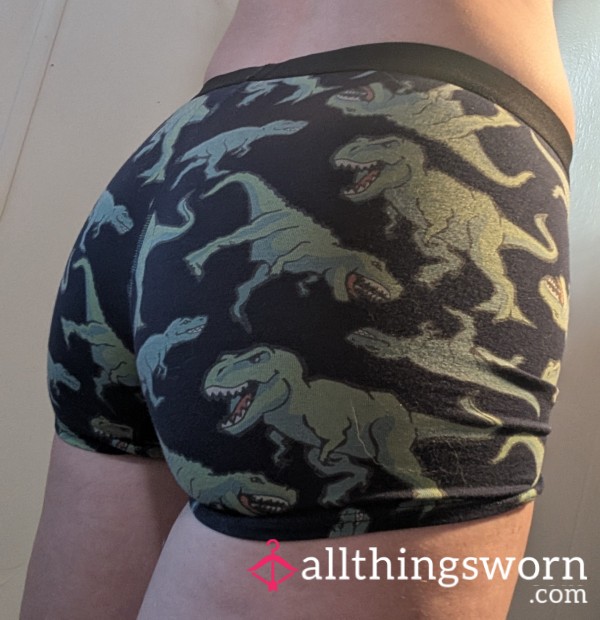 Dinosaur Boyshorts